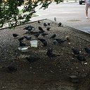  , , 50  -  23  2019      --