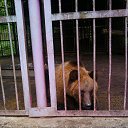 ���� ���������, ������, 57 ��� - ��������� 14 ������ 2019