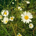 ���� A���������, �������� - ��������� 12 ������� 2019 � ������ ���� ����������