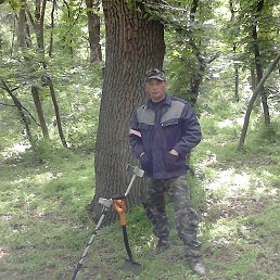 ���� �������, �������-����������, 50 ��� - ��������� 19 ���� 2019