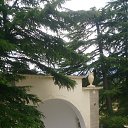 ���� �����, ���������, 65 ��� - ��������� 17 ������� 2019 � ������ ���� ����������