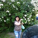 ���� �������, ������������, 52 ���� - ��������� 17 ���� 2019 � ������ ���� ����������