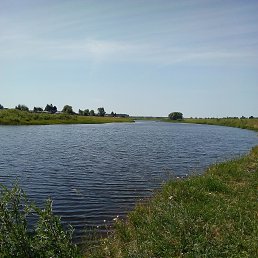 ���� ������, �����, 35 ��� - ��������� 5 ������� 2019