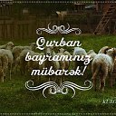 ���� �������, ����, 61 ��� - ��������� 3 �������� 2019 � ������ ���� ����������