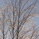 ���� �����, ������, 62 ���� - ��������� 27 ������� 2019 � ������ ������ ��������