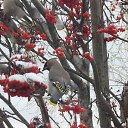 ���� �������, �������, 41 ��� - ��������� 3 ������ 2019 � ������ ������ ��������