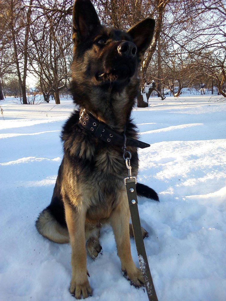 ����������� ����� �������� ������ ���