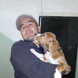 ���� ����, �����-���������, 46 ��� - ��������� 12 ��� 2019