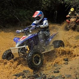 ������, ���������, 37 ���