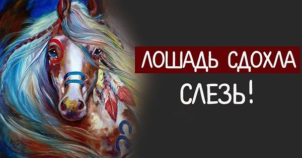 Есть старая индейская поговорка: «Лошадь сдохла — слезь». Казалось бы, всё ясно, но….1. Мы ...
