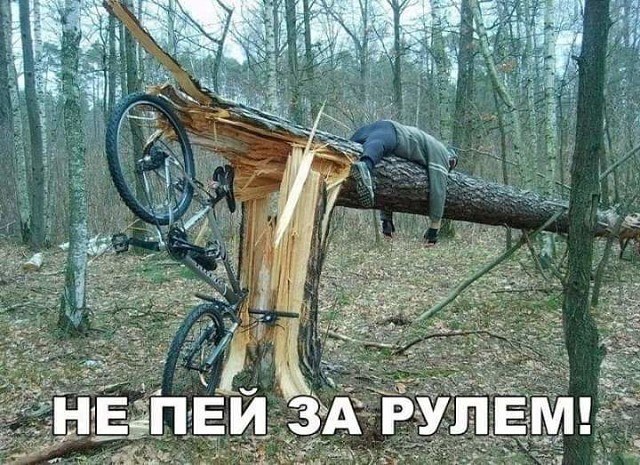 ��������� - 31 ����� 2019 � 22:31