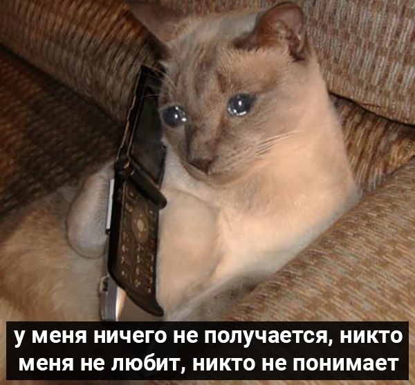       - 3