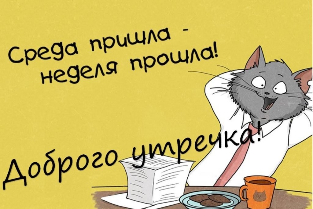    ,   .