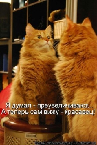 )))