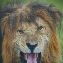 ���� ��������, ���������, 65 ��� - ��������� 24 ������ 2019 � ������ ���� ����������