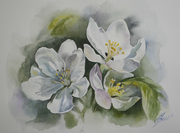  ,  ,  .  ,  ,  .  .      ...