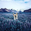 ���� ������, ����������, 49 ��� - ��������� 24 ������� 2019