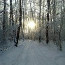 ���� ������, ������, 67 ��� - ��������� 28 ���� 2019