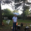 ���� ����, ������������, 46 ��� - ��������� 10 ���� 2019 � ������ ���� ����������