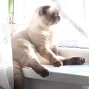 �����... �� ������� ���� ����������