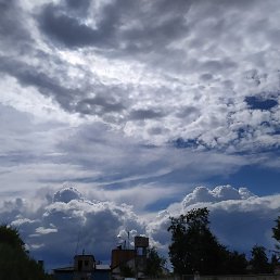 ������, �������, 39 ���