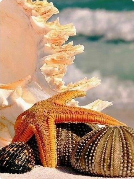 eo  o ope oa, ea, ea.. o pao opa.. o oe  eea..  p e  ... - 4