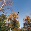  , , 50  -  4  2019   3.10.2019 