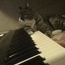 ���� �����, ��������, 48 ��� - ��������� 3 ������ 2019