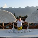  ,  , 52  -  11  2019   2019