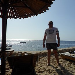 Igor, �����