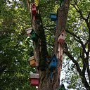  ,   -  9  2019   ,   ....