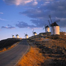 �������, ������, 41 ���