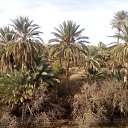 ���� Sofiane, ���� - ��������� 23 ������� 2019 � ������ �Tout et bousamghoune�