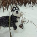 ���� ����, ������, 49 ��� - ��������� 23 ��� 2019 � ������ ������ ��������