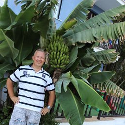 ������, ������������