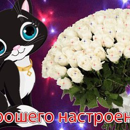 ���� �������, �������� - ��������� 8 �������� 2019