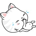  Qdsd, -, 53  -  27  2019    