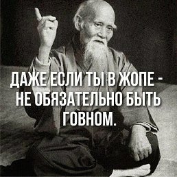 ���� ����, ����, 49 ��� - ��������� 11 ���� 2019