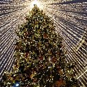 ���� Ll, ������ - ��������� 3 ������ 2020 � ������ ������, ������� � ������