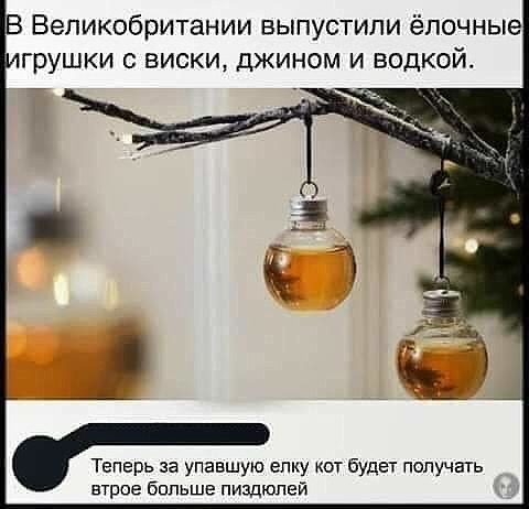 Zemlyanika - 26  2019  21:19 - 3