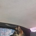 ���� �����, ������, 52 ���� - ��������� 4 ���� 2019 � ������ ���� ����������