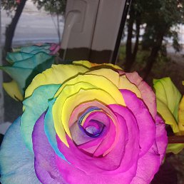 ���� �������, ������, 23 ���� - ��������� 27 ������� 2019