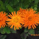 ���� �������, �������, 41 ��� - ��������� 7 ������ 2019 � ������ ������ ��������