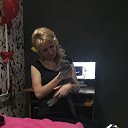 ���� ����, �������� - ��������� 11 ������ 2019 � ������ ���� ����������