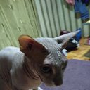 ���� ����, ��������� - ��������� 14 ������� 2019 � ������ ������ ��������