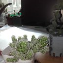 ���� ������ �������������, ������, 53 ���� - ��������� 17 ���� 2019 � ������ �������