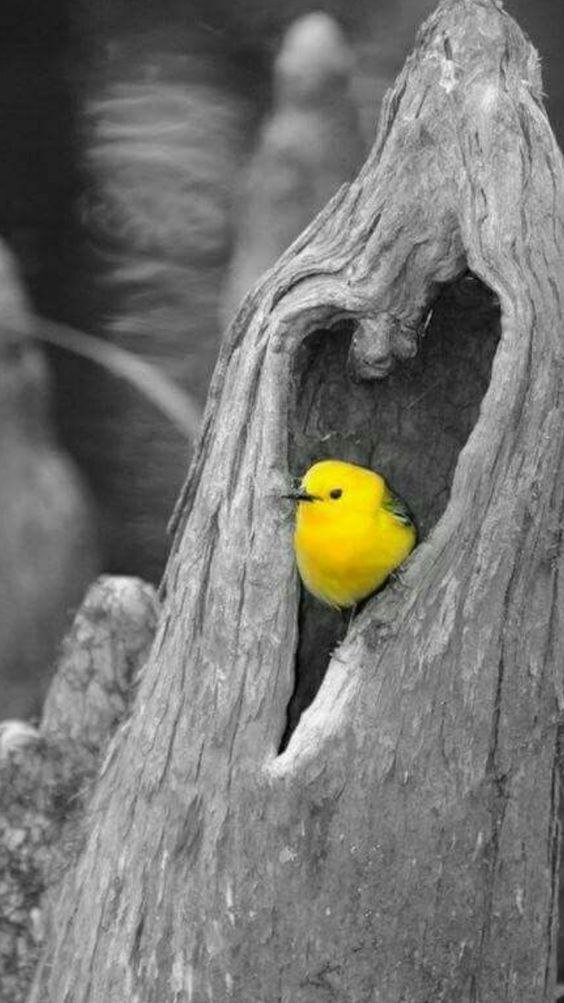  ! - 24  2019  11:43 - 5