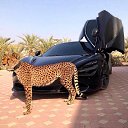 ���� Alexander, ������, 54 ���� - ��������� 22 �������� 2019 � ������ ���� ����������