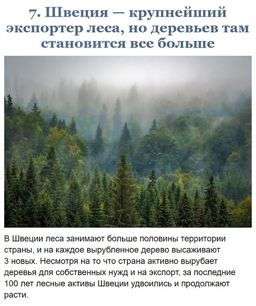 Примеры в борьбе за чистоту планеты, которые вдохновляют - 7