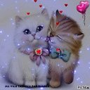 ���� �������, ������ - ��������� 30 ������ 2019 � ������ ������ ��������
